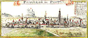 Patschkau im Prospect - Widok miasta